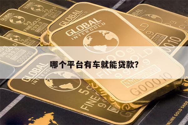 哪个平台有车就能贷款?