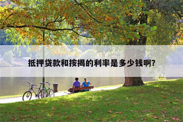 抵押贷款和按揭的利率是多少钱啊?