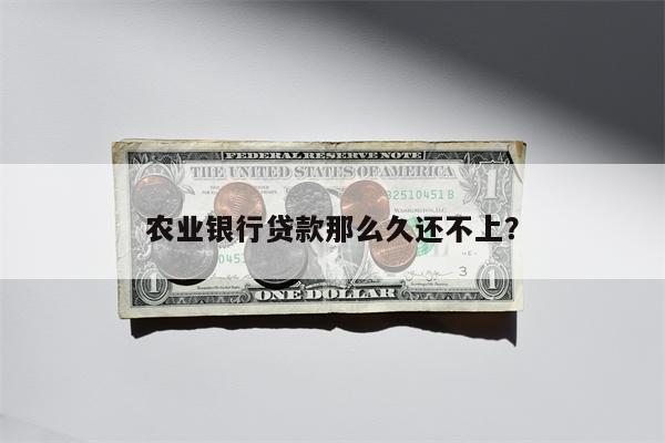 农业银行贷款那么久还不上?