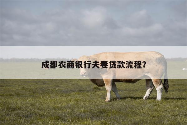 成都农商银行夫妻贷款流程?