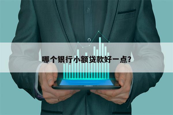 哪个银行小额贷款好一点?