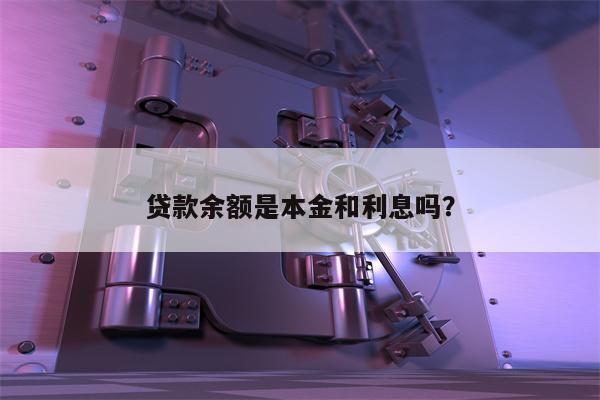 贷款余额是本金和利息吗?