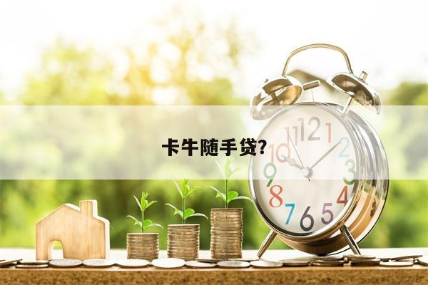 卡牛随手贷?