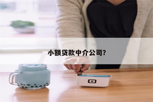 小额贷款中介公司?