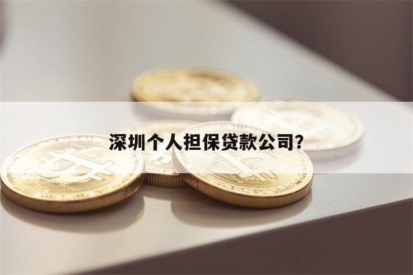 深圳个人担保贷款公司?