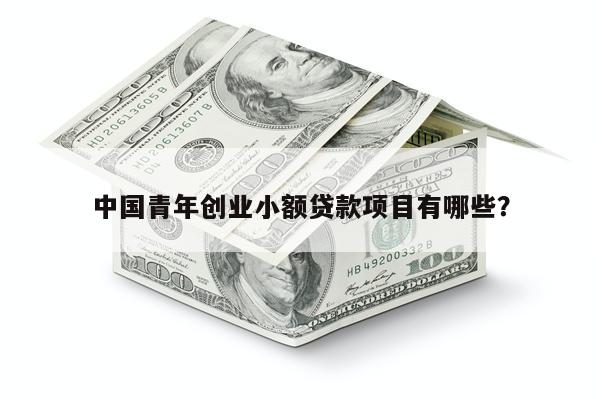 中国青年创业小额贷款项目有哪些?