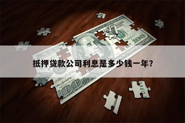抵押贷款公司利息是多少钱一年?