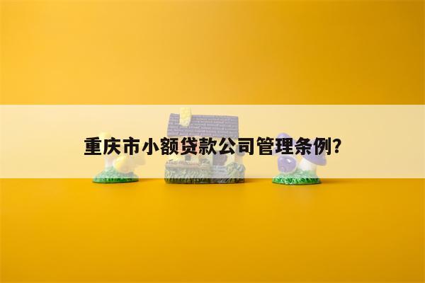 重庆市小额贷款公司管理条例?