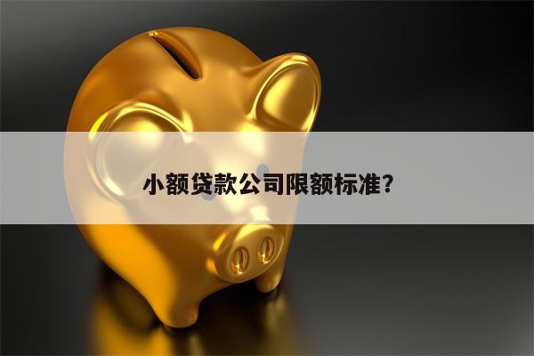 小额贷款公司限额标准?