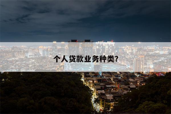 个人贷款业务种类?