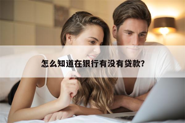 怎么知道在银行有没有贷款?