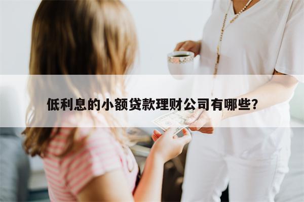 低利息的小额贷款理财公司有哪些?