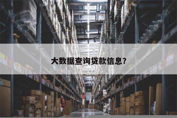 大数据查询贷款信息?