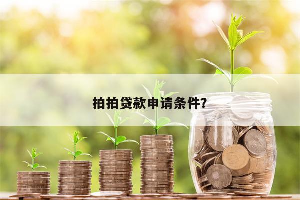 拍拍贷款申请条件?