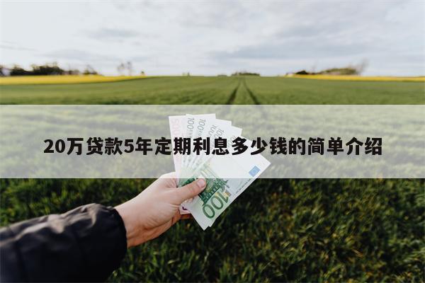 20万贷款5年定期利息多少钱的简单介绍