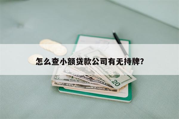 怎么查小额贷款公司有无持牌?