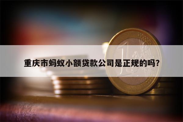 重庆市蚂蚁小额贷款公司是正规的吗?