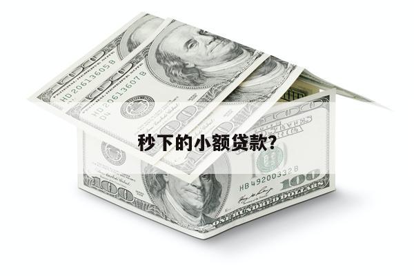 秒下的小额贷款?