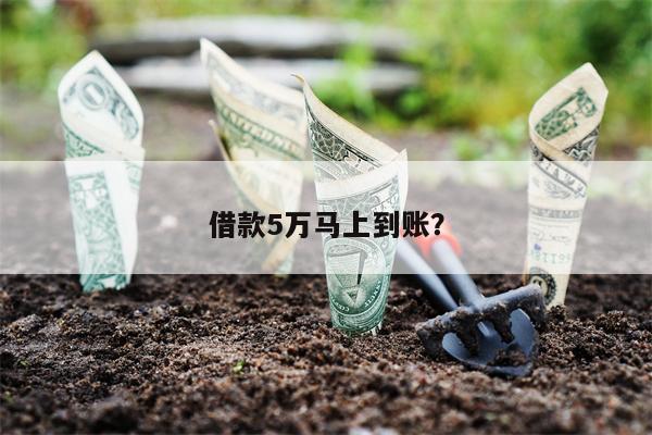 借款5万马上到账?