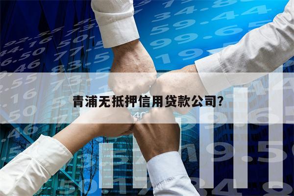 青浦无抵押信用贷款公司?