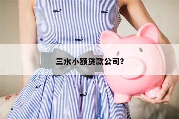 三水小额贷款公司?