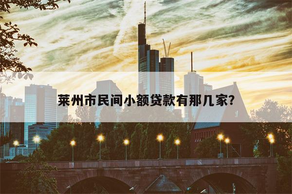 莱州市民间小额贷款有那几家?