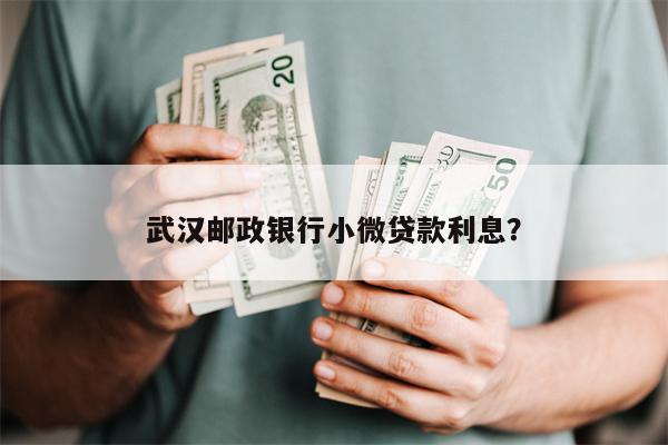 武汉邮政银行小微贷款利息?