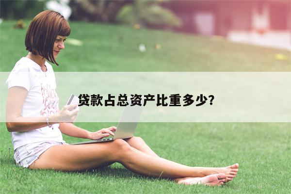 贷款占总资产比重多少?