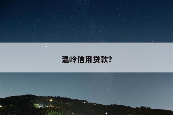 温岭信用贷款?