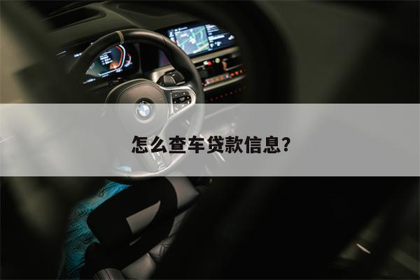 怎么查车贷款信息?