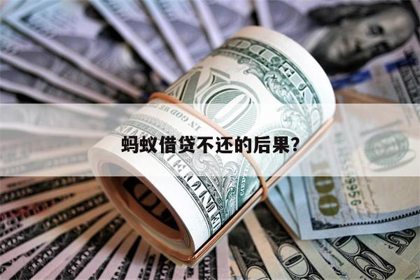 蚂蚁借贷不还的后果?