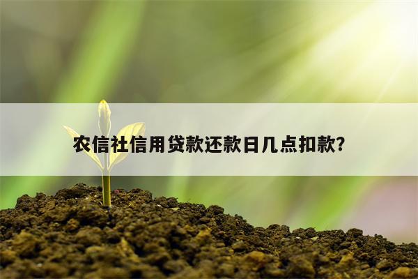 农信社信用贷款还款日几点扣款?