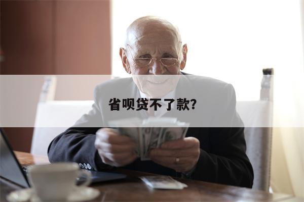 省呗贷不了款?