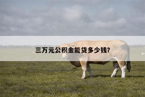 三万元公积金能贷多少钱?
