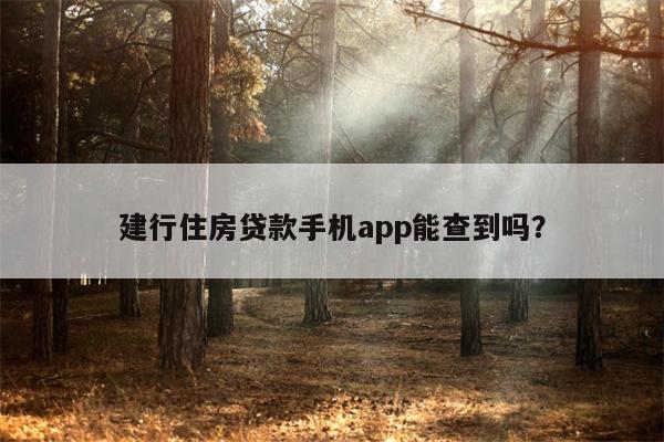 建行住房贷款手机app能查到吗?