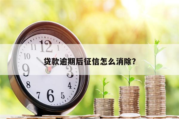 贷款逾期后征信怎么消除?